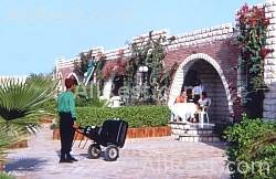 Aladdin Beach Resort 5